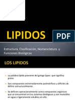 Los Lipidos