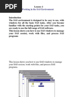 Basics of SAS 2