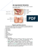 Medicina Legal Nata