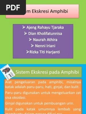 Unduh 9000 Gambar Ginjal Pada Katak Keren HD