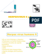 Herpes 6-7 OK
