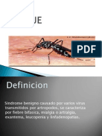 Presentacion Final Dengue