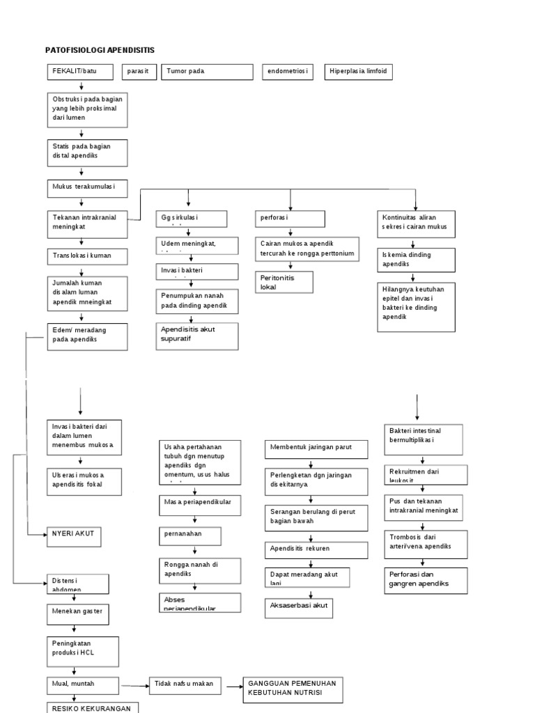 Patofisiologi Apendisitis