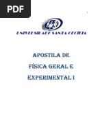 Apostila de Fisica I 2010.pdf
