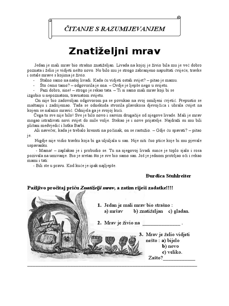 Citanje S Razumijevanjem 10 Nastavnih Listica HR | PDF