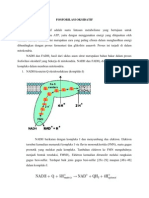 40060092-FOSFORILASI-OKSIDATIF