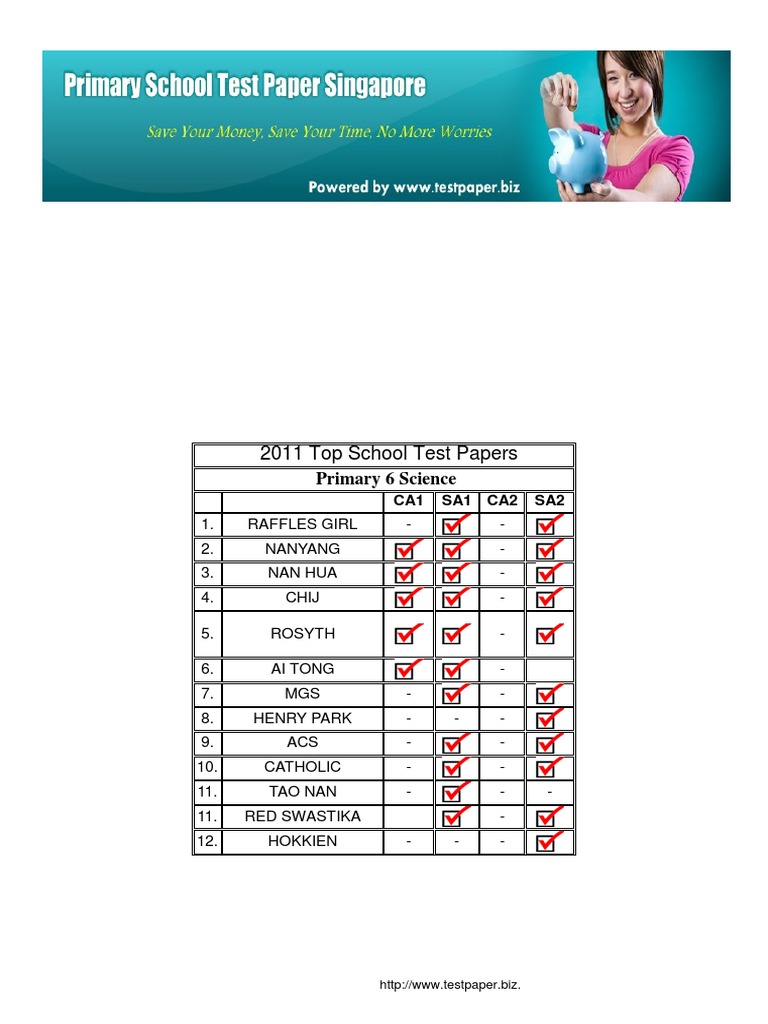 Psle in singapore debate essay 04 image