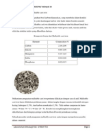 Ditempa Besi Cor Yang Dihasilkan Dari Dekat Dengan Matriks Besi Putih