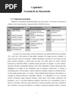 Tratatul de La Maastricht Si Moneda Euro