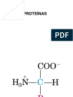 Proteinas 2