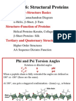 Chapter 6: Structural Proteins: Quick Review-Structure Basics