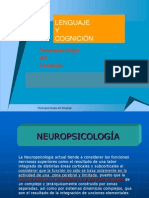 Neuropsicología del Lenguaje