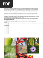 Download Notes Tomato by anon_183768010 SN210118189 doc pdf