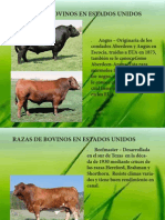 Razas de Bovinos.pdf