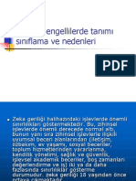 2.özel Eğitime Muhtaç Olmanın Nedenleri