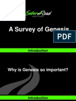 A Survey of Genesis