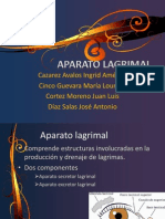 aparatolagrimalylagrima-111001151402-phpapp02
