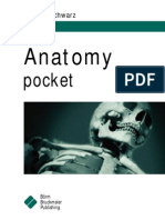 Anatomy Pcket