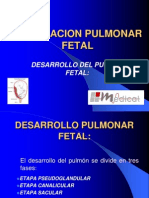 Maduracion Pulmonar Fetal