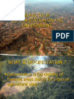 Effects of Deforestation on the Environment