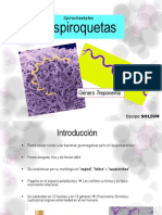 Treponema: Características y patogenia de la sífilis