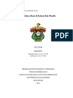 Download budidaya ikan dikolm bak plastik by ikarahmadewi SN210177120 doc pdf