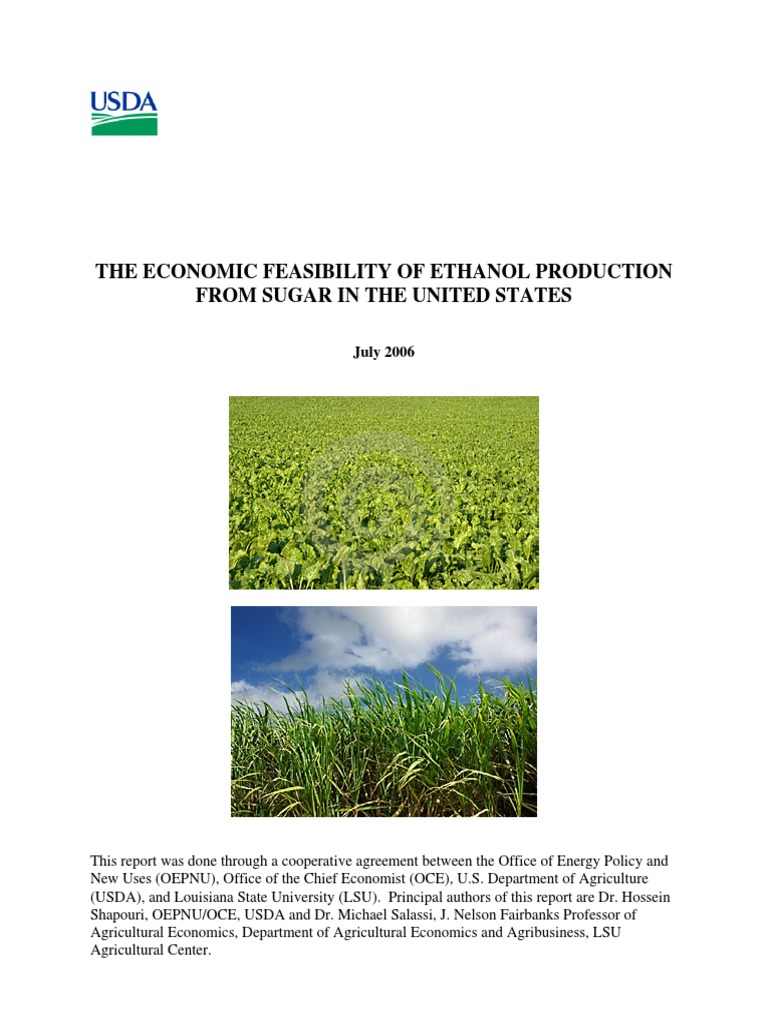 Economic Feasibility of Sugar Ethanol | PDF | Sugarcane | Sugar Beet
