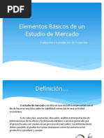 Elementos Básicos de un Estudio de Mercado
