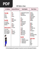 Download DBT Skills at a Glance by Rachel Gillpdf by Pinki Tuscaderro aka Rachel Gill SN210180697 doc pdf