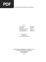 Download Laporan Praktikum Ekologi Mangrove by Adetyas Puspitasari SN210191119 doc pdf