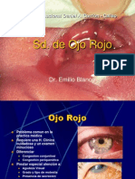 33. Manejo Del Ojo Rojo