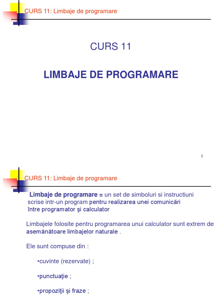 Curs 11 Limbaje de Programare | PDF