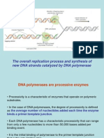 The Overall Replication Process and Synthesis of New DNA Strands Catalyzed by DNA Polymerase