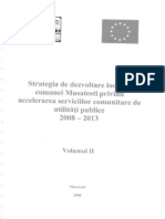 Strategie Musatesti Vol II