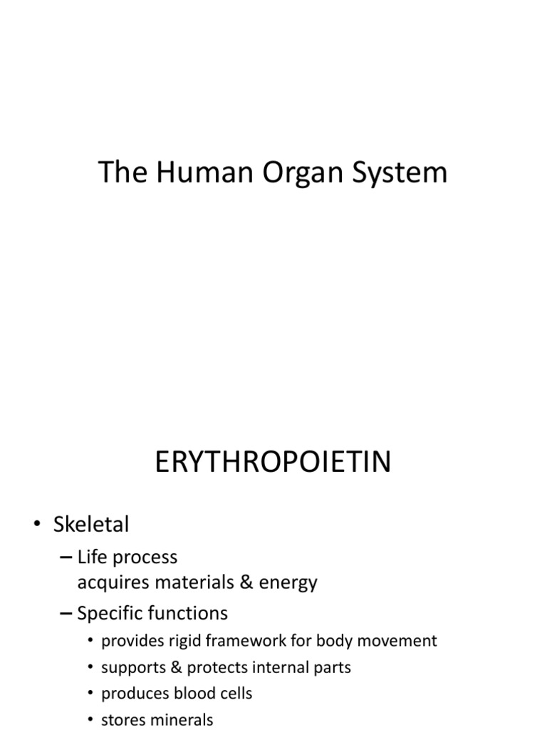 Human Organ Systems Overview | PDF | Science & Mathematics