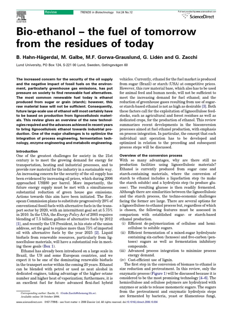 Bio Ethanol | PDF