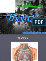 Thorak S