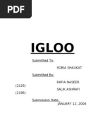 Download Igloo Report by Muhammad Yasir Saleem SN21030816 doc pdf