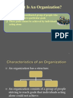 What Is An Organization?: A Formal and Coordinated Group of People Who These Goals Cannot Be Achieved by Individuals