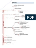 Arterial Tree Reference Guide