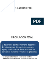 Circulacion Fetal PDF