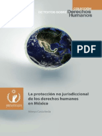 Proteccion Jurisdiccional