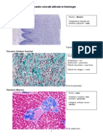 Coloratii Histologice