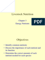 4 animalnutrition energy