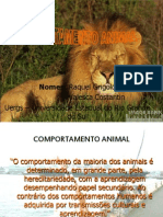 Comportamento Animal - Uergs