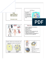 Cell Structure & Metabolism