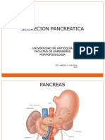 Secrecion Pancreatica y Absorcion[1]