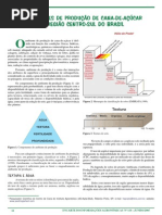 AMBIENTES DE PRODUÇÃO DE CANA-DE-AÇÚCAR