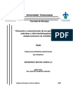 Clonacion y Caraterizacion de Los Genes de La Xilosa Reductasa y Xilitil Deshidrogenana