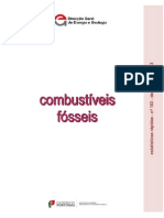 Combustiveis Fosseis 2013